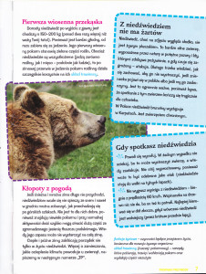 Czy zimą niedźwiedź tylko śpi Tropami Przyrody Nr 6 (8) 2011_0002